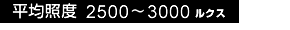 平均照度